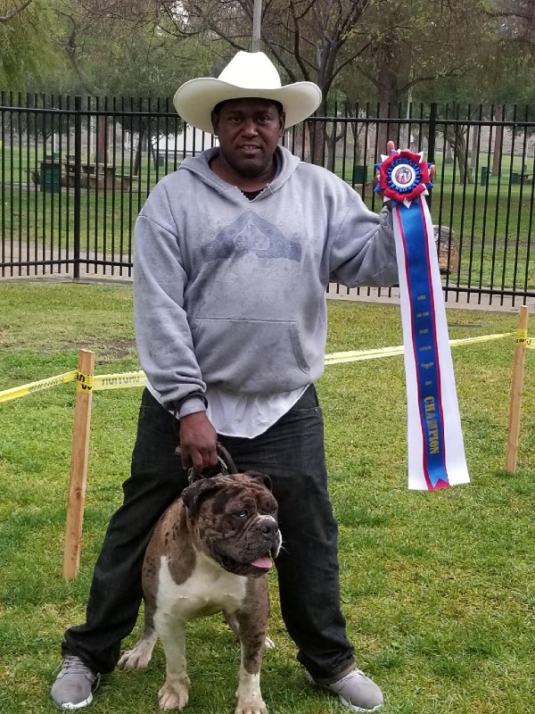 20180310_130119_1520730612414-8