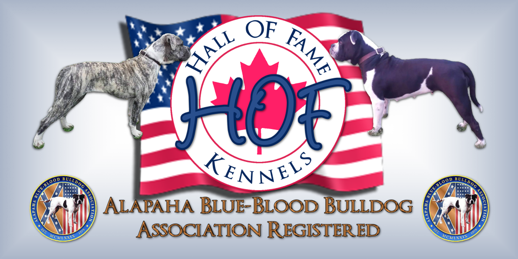 HOF-cover-photo-2 HOF-cover-photo-2