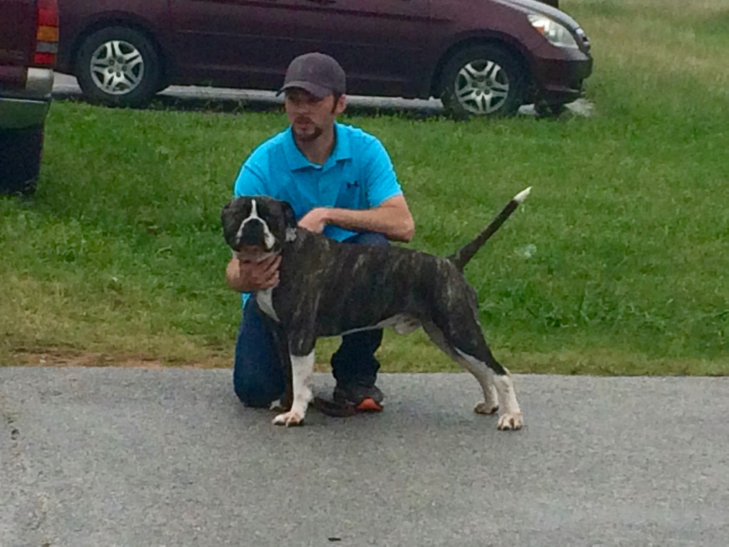 fullsizeoutput_8b9 fullsizeoutput_8b9