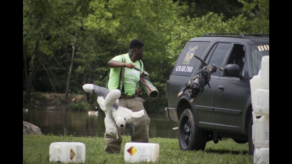 fullsizeoutput_93b fullsizeoutput_93b