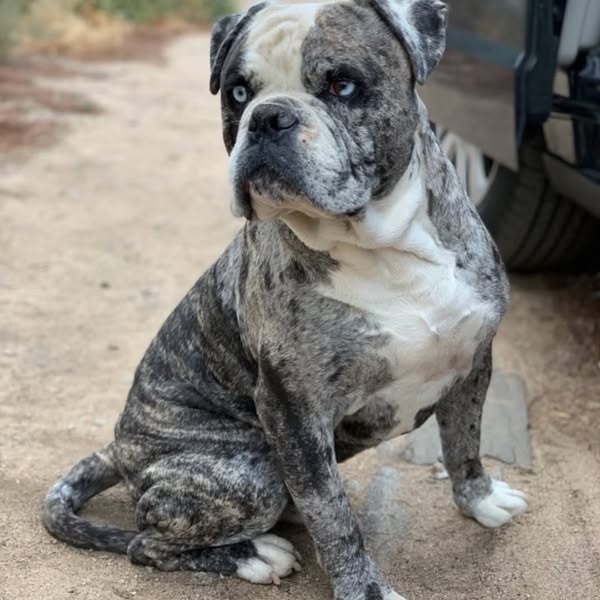 71210756 2398831773569803 934275130568212480 n